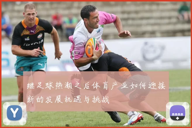 继足球热潮之后体育产业如何迎接新的发展机遇与挑战