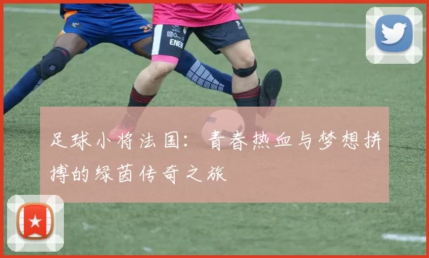 足球小将法国：青春热血与梦想拼搏的绿茵传奇之旅
