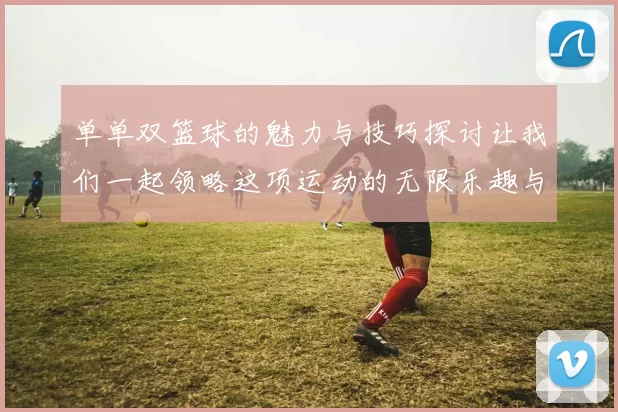 单单双篮球的魅力与技巧探讨让我们一起领略这项运动的无限乐趣与挑战