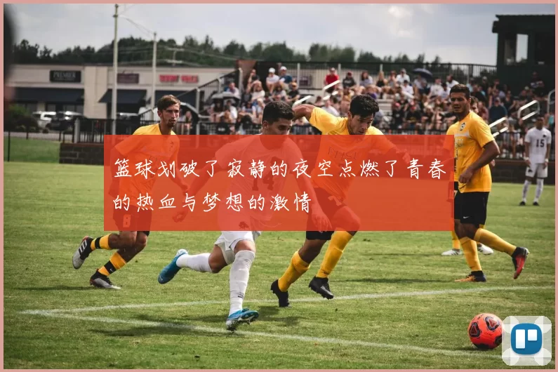 篮球划破了寂静的夜空点燃了青春的热血与梦想的激情